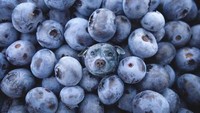 Ayo coba cari wajah anjing pada tumpukkan blueberry ini! Editan wajah anjing pada blueberry ini terlihat sangat menyatu dengan blueberry. Foto: Istimewa / Insider