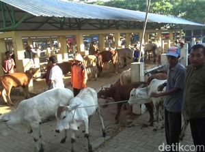 Hadang Antraks, Pemkab Gunungkidul Mengkaji Penutupan Pasar Hewan
