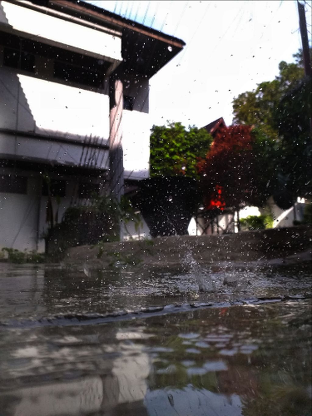 35 Trend Kata Kata  Di  Pagi  Hari  Saat Hujan  Terkini 