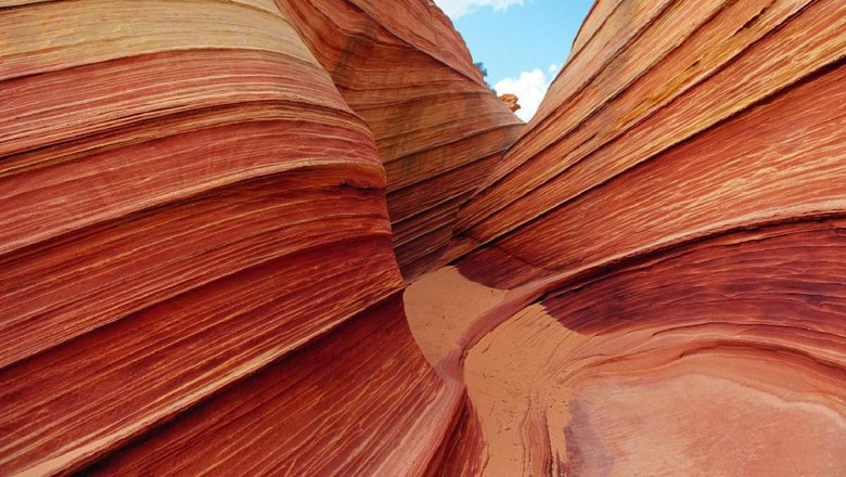 The Wave, Coyote Buttes Slot canyon wave pattern with sky reflected in water
