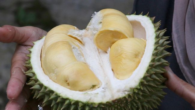 Bogor dan Sukabumi Punya Durian Unggul yang Manis Legit Berdaging Tebal