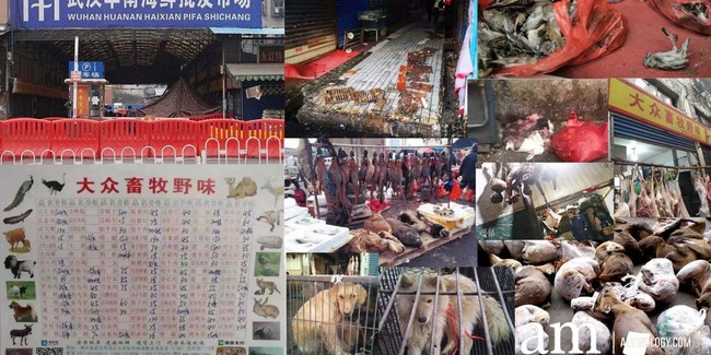 5 Fakta Pasar Seafood Huanan di Wuhan yang Disebut Asal Virus Corona 5 Fakta Pasar Seafood Huanan di Wuhan yang Disebut Asal Virus Corona