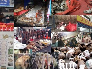5 Fakta Pasar Seafood Huanan di Wuhan yang Disebut Asal Virus Corona