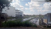 Sambo menambahkan pelaku juga menawarkan sebidang tanah kepada korban seluas 1.600 M2 di Jalan Pantai Berawa, Desa Tibubeneng, Kuta Utara, Badung, Bali yang seolah-olah tanah tersebut dijual oleh pemiliknya. Sambo mengatakan tanah dan villa itu dijanjikan pelaku akan dibalik nama atas nama perusahaan PT Eastern Kayan. Namun, sampai sekarang tanah dan villa masih atas nama tersangka. Polisi pun hingga kini masih memburu pelaku penipuan tersebut. Foto: Istimewa.