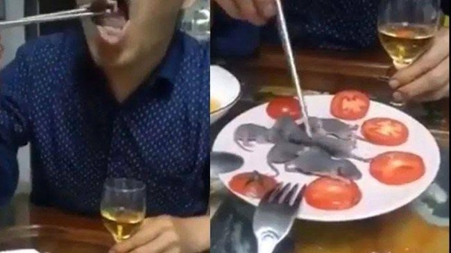 Makan Bayi Tikus dan Pasar Tomohon yang Dikaitkan dengan Virus Corona Makan Bayi Tikus dan Pasar Tomohon yang Dikaitkan dengan Virus Corona