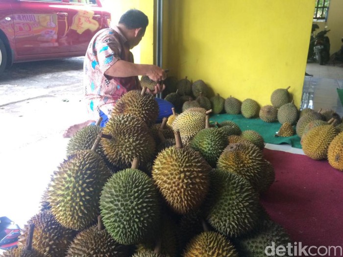 Durian Kampung Benteng Ciamis Kampung Benteng Ciamis