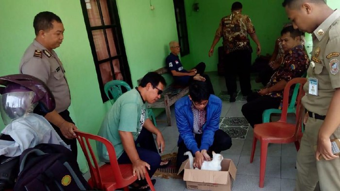 Pemeriksaan kucing di Desa Jaten oleh tim gabungan Pemkab Karanganyar, Rabu (29/1/2020).