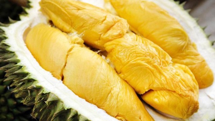 durian jawa barat durian jawa barat
