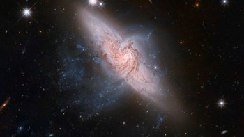 Galaksi berkencan. Orang mungkin berpikir dua galaksi ini hanya bertabrakan satu sama lain seperti yang sering terjadi di alam semesta. Tetapi tidak demikian halnya dengan kedua galaksi ini. Boleh dibilang galaksi NGC3314a dan NGC3314b hanya bertemu satu sama lain di ruang angkasa pada waktu tertentu, tetapi mereka masih dipisahkan oleh jutaan tahun cahaya. Mereka seperti galaksi yang berkencan. Foto: via Brainberries