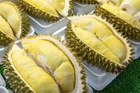 Disebut Rajanya Buah, Durian Kini jadi Buah Eksotik yang Populer di Dunia