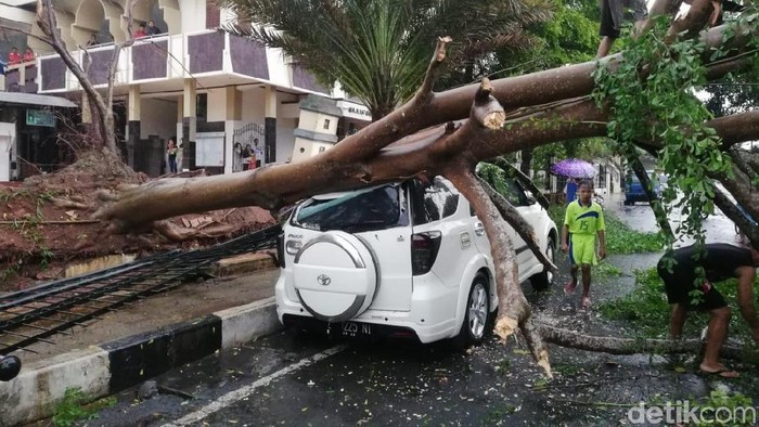 Pohon Tumbang Timpa Mobil di Banjar
