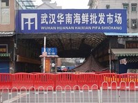 5 Fakta Pasar Seafood Huanan di Wuhan yang Disebut Asal Virus Corona
