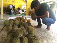 Legit Maknyus! Durian Serendet dari Kampung Benteng Ciamis