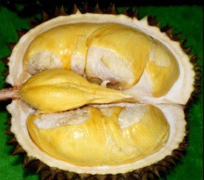 durian jawa barat