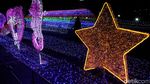 Warna-warni Cahaya di Festival Lampu Bekasi
