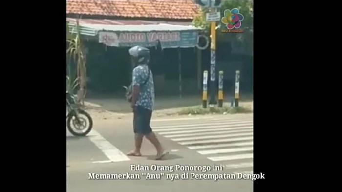 pamer alat kelamin