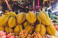 Disebut Rajanya Buah, Durian Kini jadi Buah Eksotik yang Populer di Dunia