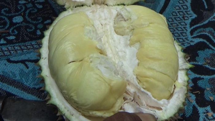 Durian Mentega Lumajang