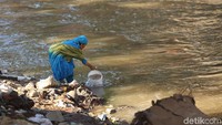 Seorang warga terlihat mengambil air di pinggir Sungai Ciliwung.