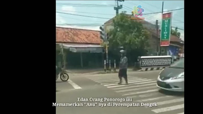 pamer alat kelamin