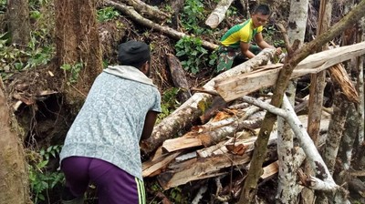 Satgas Yonif 755 Kostrad Bantu Buka Lahan Pertanian di Papua