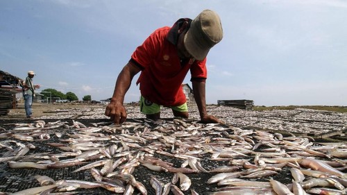 Pekerja menjemur ikan teri atau bilis (Engraulidae) kualitas ekspor di kawasan sentral produksi ikan kering Lhokseumawe, Aceh, Kamis (30/1/2020). Dalam kondisi cuaca normal produksi ikan teri untuk kebutuhan pasar nasional Sumatera,  Jawa dan pasar ekspor Malaysia tembus 8-9 ton perhari dengan harga  Rp110.000 hingga Rp130.000 per kg. ANTARA FOTO/Rahmad/pd.