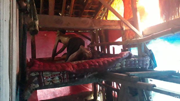 Mbah Sa'udi di Brebes, 20 Tahun Sendirian Hidup di Gubuk Lahan Makam