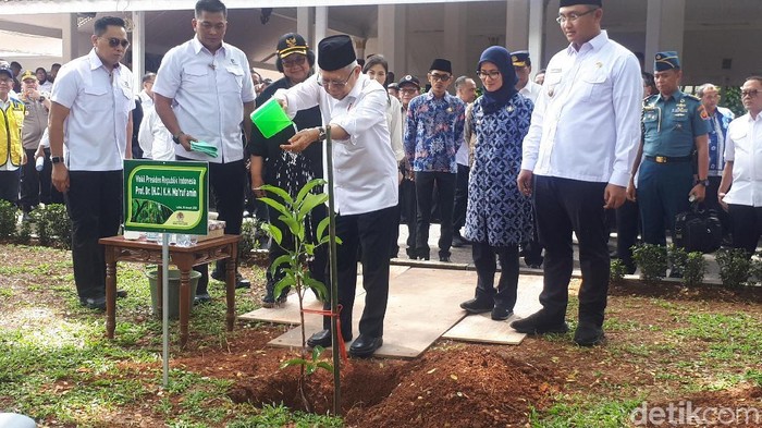 Maruf Amin tanam bibit pohon jambu di Lebak Banten (Foto: Dwi Andayani/detikcom)
