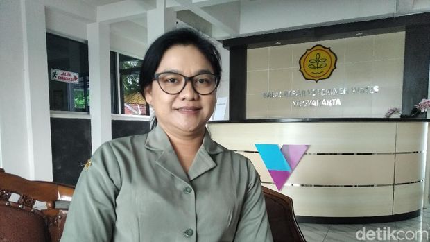 27 Kucing Mati di Karanganyar, Ternyata Distemper Nular Lewat Ini