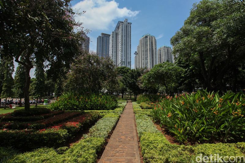 Salah satu Ruang Terbuka Hijau (RTH) di Jakarta terletak di kawasan Tomang. Ruang terbuka hijau itu bernama Taman Cattleya.