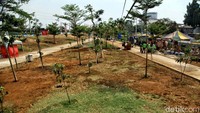 Di era Gubernur Ahok, RTH Kalijodo dibangun dan ditanami berbagai pohon dan arena bermain untuk warga. RTH dalam tata kota memiliki fungsi planologi yang bisa menjadi pembatas antara satu ruang dengan ruang lain yang berbeda peruntukannya. Pradita Utama/detikcom.