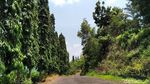 Tempat Foto-foto Asyik di Pangandaran
