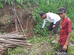 Geger ABG Perempuan Berlumuran Darah di Perkebunan Tomat Cimahi