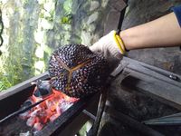 Maknyus! Durian Bakar Khas Jombang yang Creamy Wangi