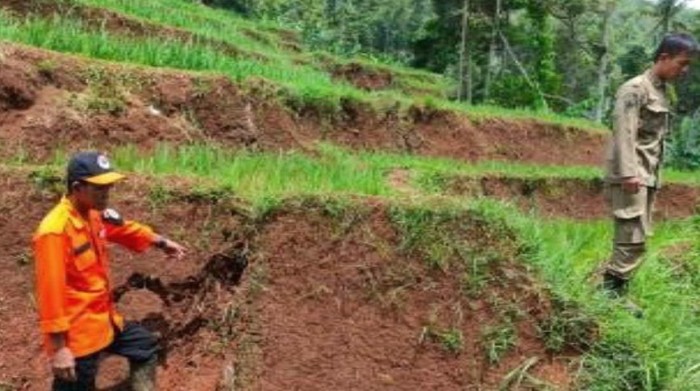 Sejumlah petugas meninjau lokasi pergerakan tanah di Sumedang Selatan
