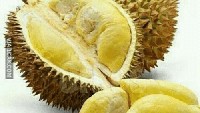 Katanya sih durian efektif hilangkan kantuk di pagi hari. Apalagi kalau dilempar ke muka orang yang lagi ngantuk. Duh, jangan ditiru ya! Foto: Istimewa