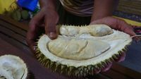 Pencinta Durian, Trenggalek Sedang Banjir Durian Enak!