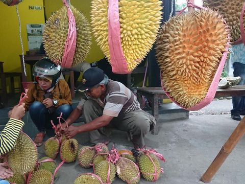 Durian Trenggalek