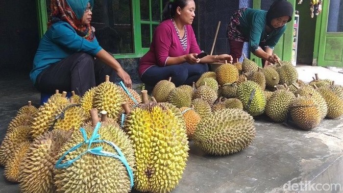 daerah penghasil durian