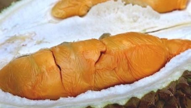 Kenali 5 Jenis Durian Populer di Dunia, Ada Monthong hingga Musang King