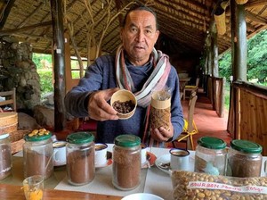 Pesaing Kopi Luwak, Ini Kopi Unik yang Berasal dari Kunyahan Kelelawar!