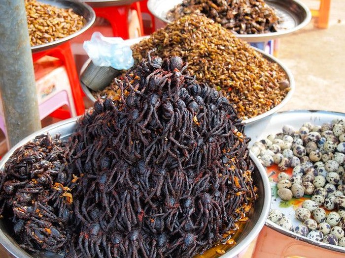 Pasar Tradisional Hewan Liar