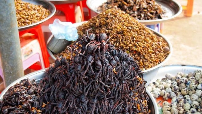 Pasar Tradisional Hewan Liar Pasar Tradisional Hewan Liar