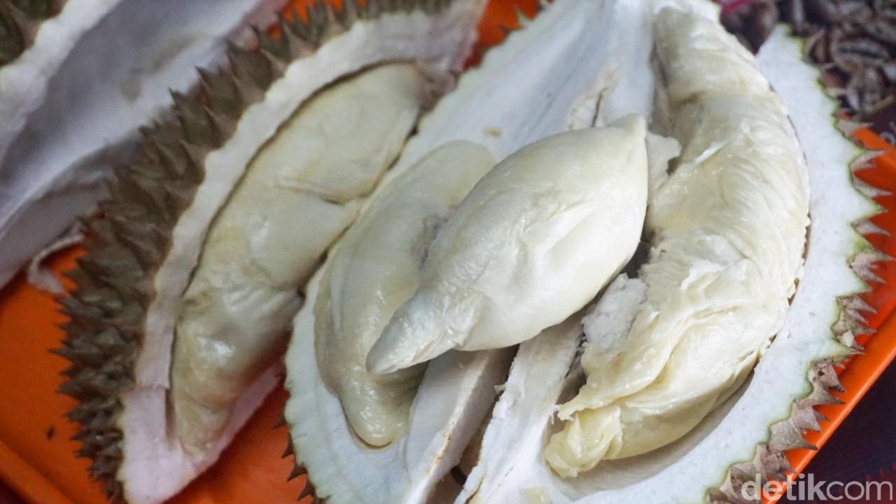 Sentra Durian Kalibata
