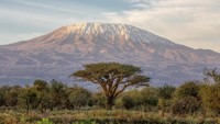 Kilimanjaro merupakan gunung api yang berada di Tanzania dengan ketinggian 5.895 meter. Ini merupakan gunung tertinggi di daratan Afrika. Jika dilihat dari gambar, puncak Gunung Kilimanjaro terlihat sangat tumpul dan lebar. (iStock)