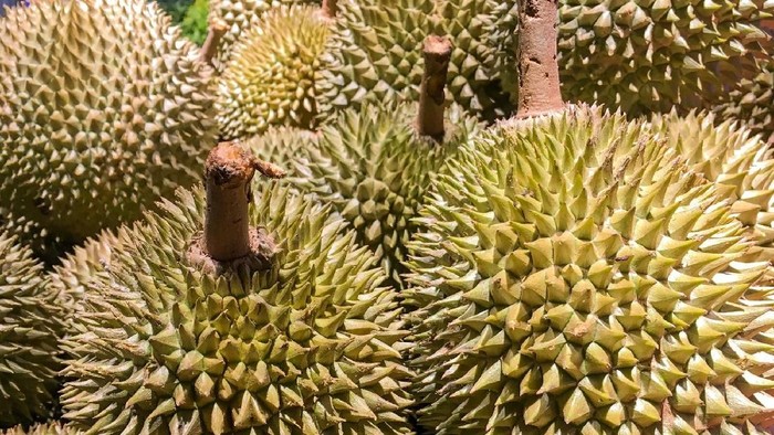 Durian Durian