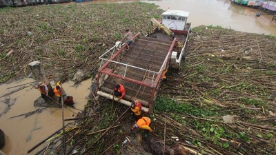 Sampah yang Ganggu Transportasi Sungai di Kalsel Dibersihkan