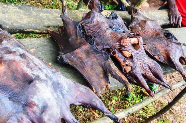 Tak Hanya di Wuhan, 5 Pasar Tradisional Ini Juga Jual Berbagai Daging Hewan Liar Tak Hanya di Wuhan, 5 Pasar Tradisional Ini Juga Jual Berbagai Daging Hewan Liar