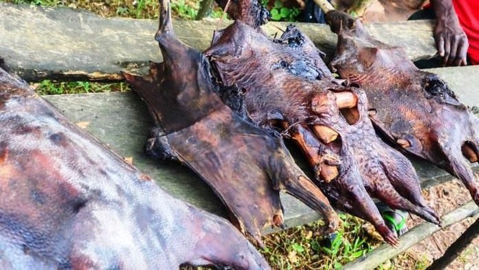 Pasar Tradisional Hewan Liar Pasar Tradisional Hewan Liar