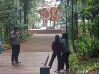 Pengunjung berfoto dengan latar hutan yang hijau.